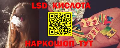 стафф Донской