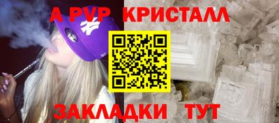 стафф Донской