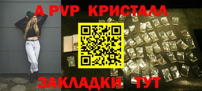 стафф Донской