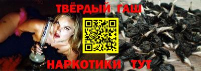 стафф Донской
