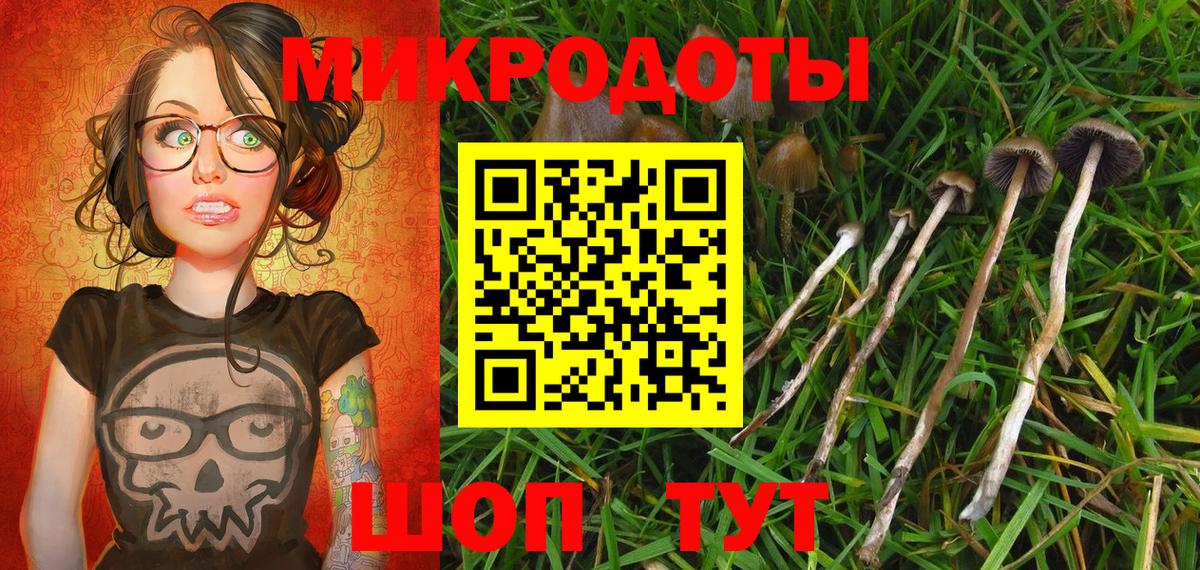 Псилоцибиновые грибы Cubensis Луга